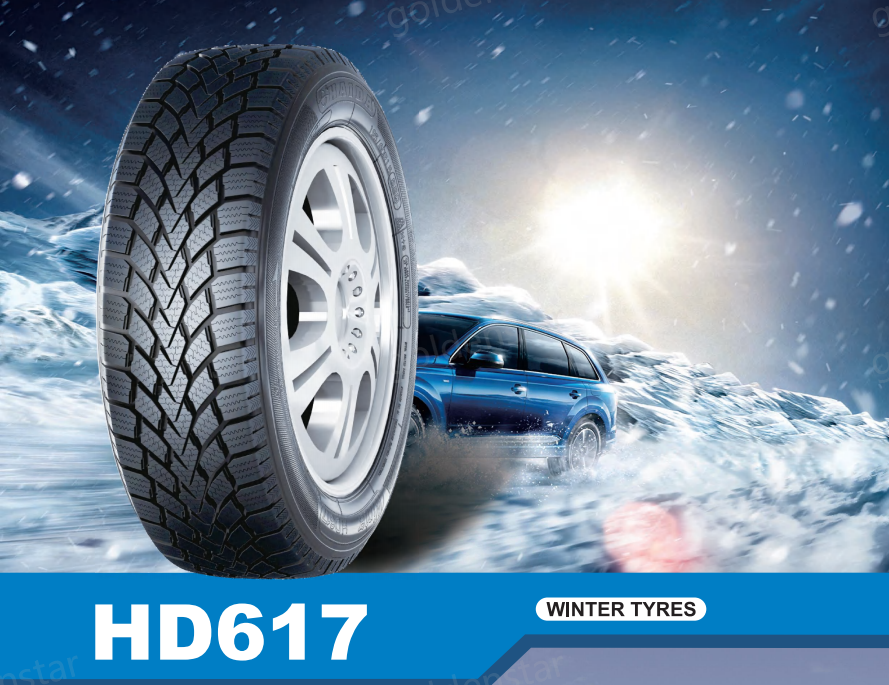 studdable winter tires